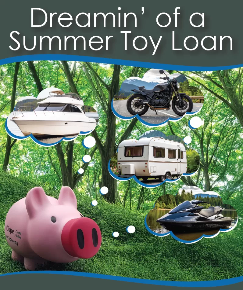 toy loan